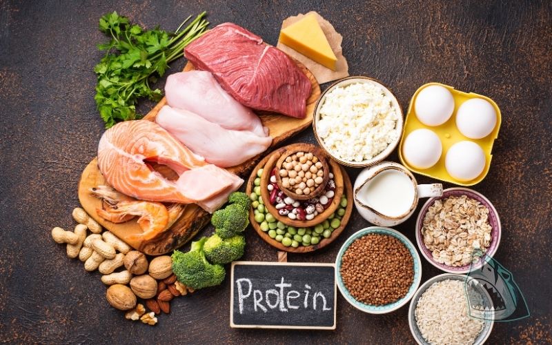 Đảm bảo lượng protein vừa phải