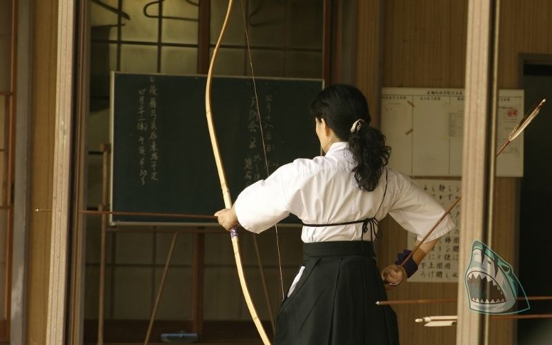 Lịch sử của Kyudo