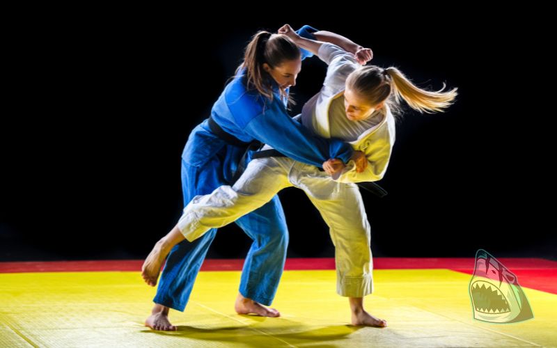 Judo - môn võ hiệu quả và tinh tế