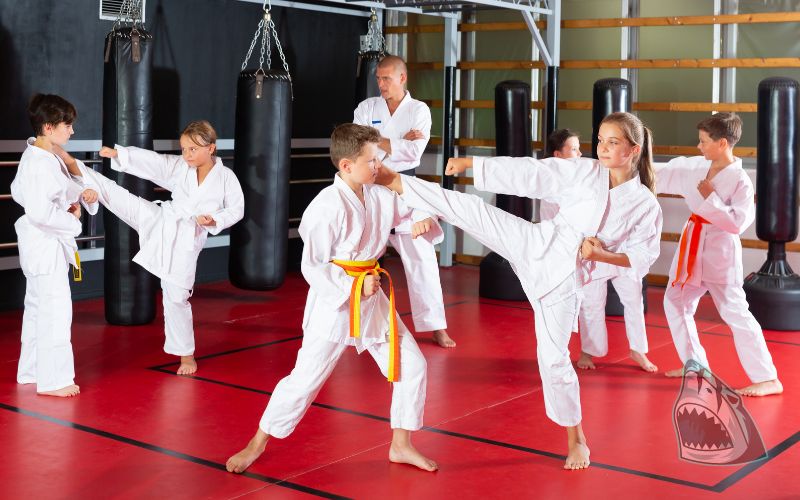 Các động tác Karate cơ bản