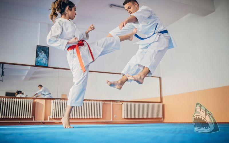 Lợi ích khi tập luyện môn võ Karate