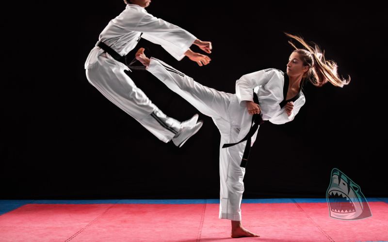 Tìm hiểu về môn Võ thuật Taekwondo