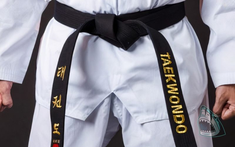 Trang phục trong Taekwondo