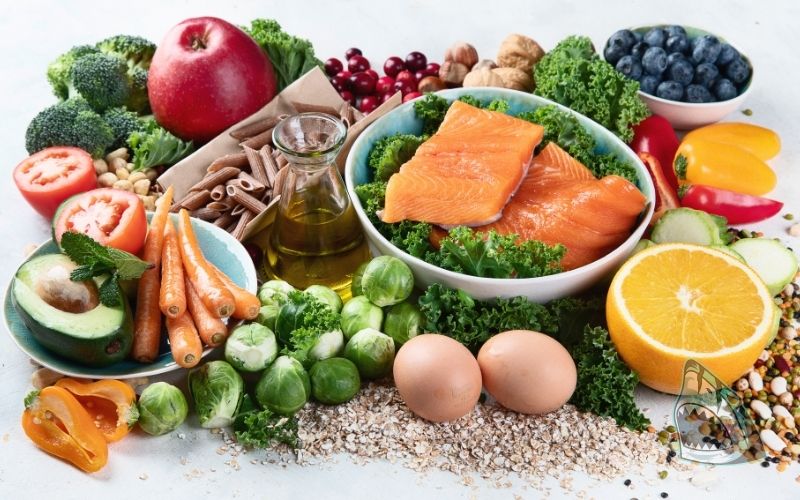 Chất xơ, Vitamin và khoáng chất: Đảm bảo dinh dưỡng toàn diện và tăng cường sức đề kháng