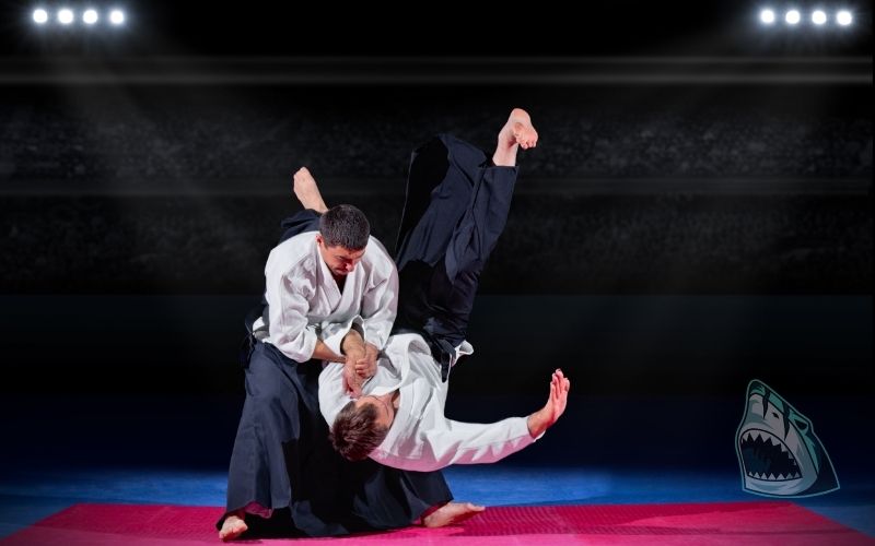 Tìm hiểu môn võ Aikido