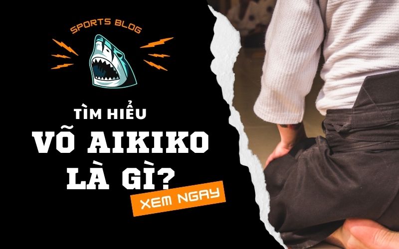 Võ Aikido là gì