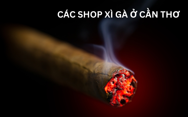 shop xì gà cần thơ