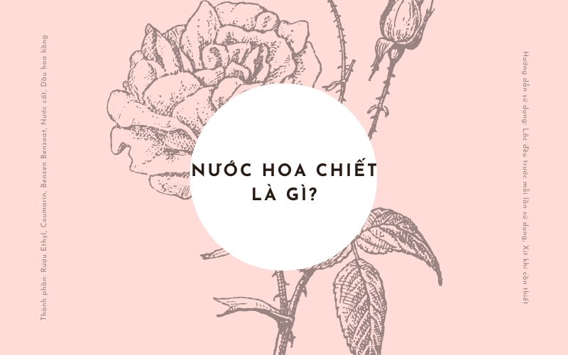 nước hoa chiết là gì