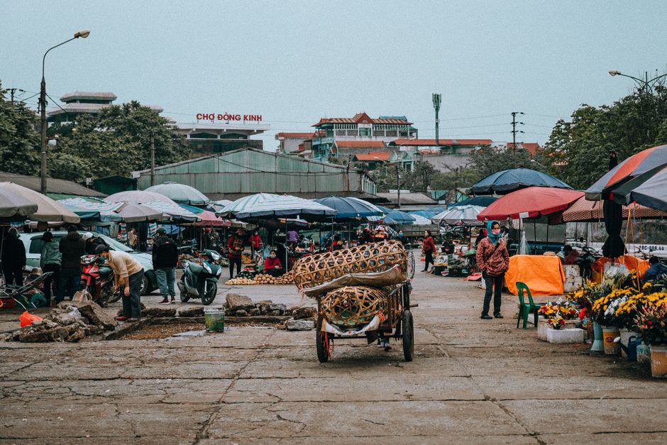 Quy trình bán sỉ nông sản nào phù hợp để ứng dụng AI cho phòng sale