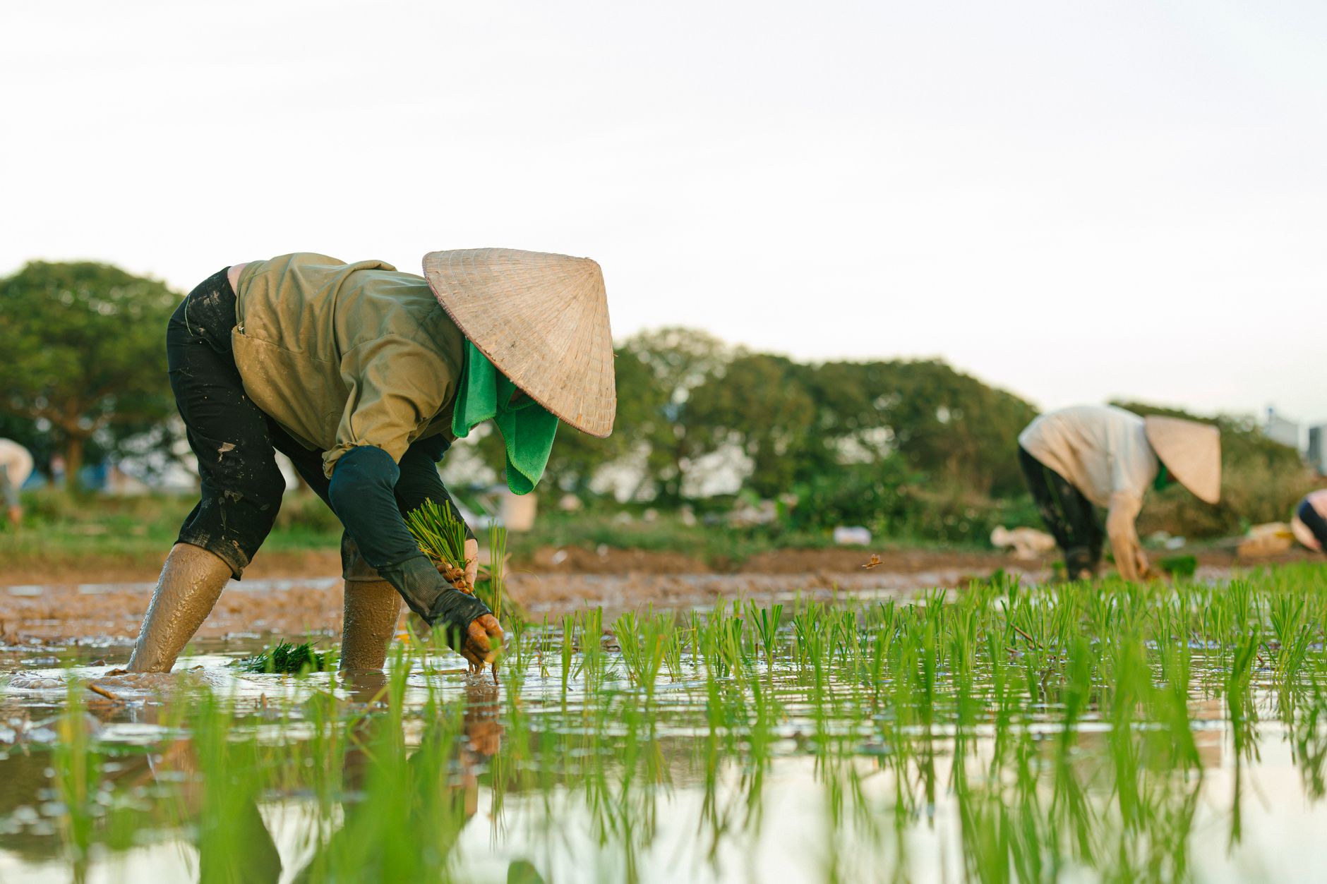 Những Nguyên Nhân Kỹ Thuật Hay Bị Bỏ Sót Những Nguyên Nhân Kỹ Thuật Hay Bị Bỏ Sót